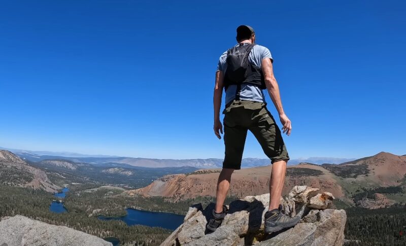 Mammoth Lakes wildlife viewing